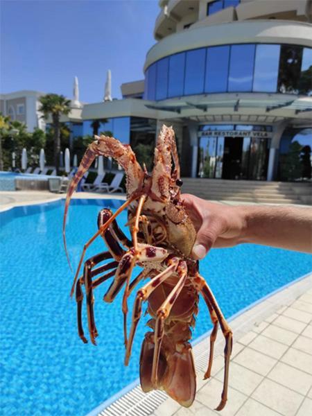Vela Hotel Restaurant Голем Екстериор снимка